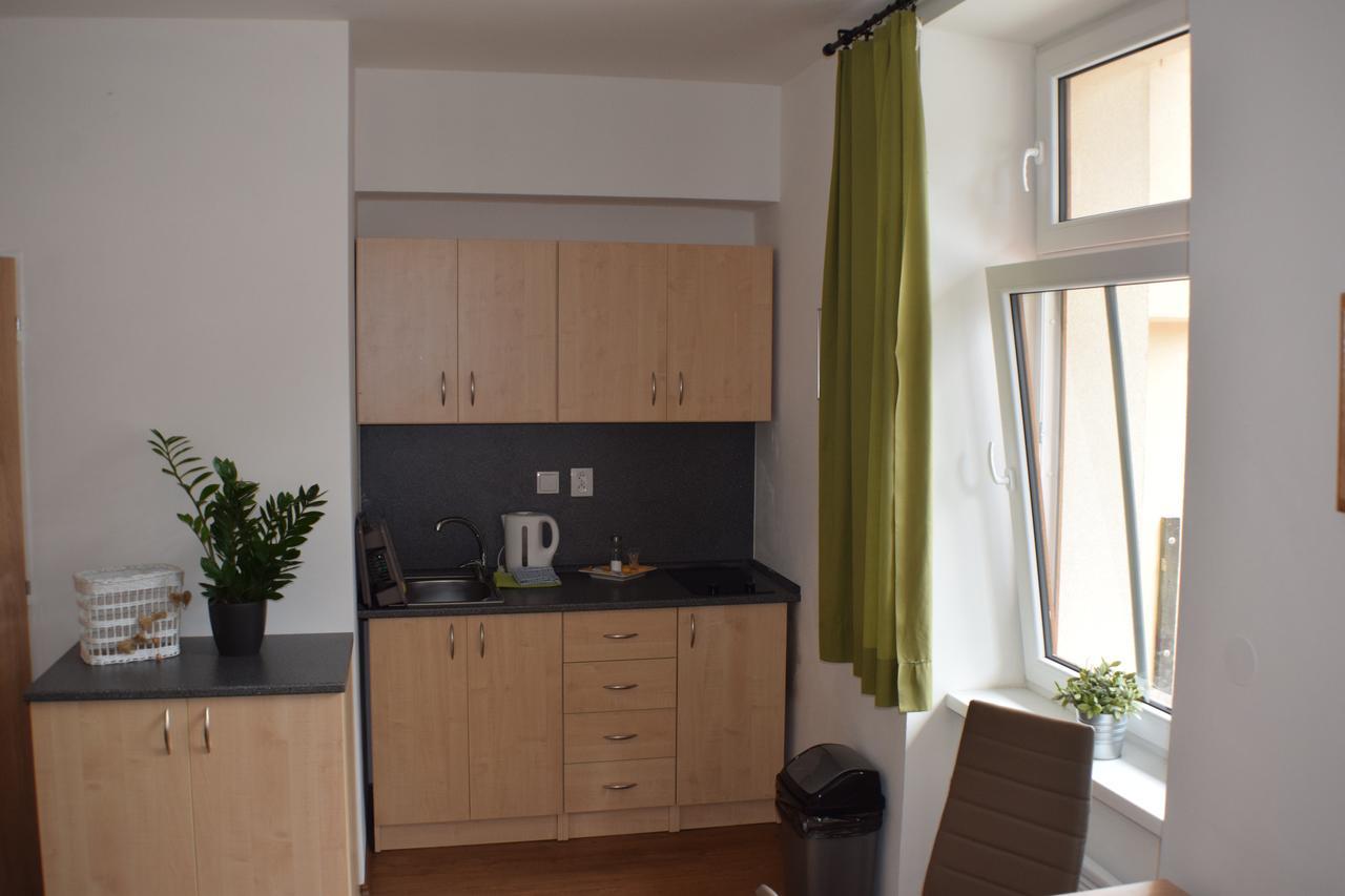 Apartmany Lipa 타보르 외부 사진